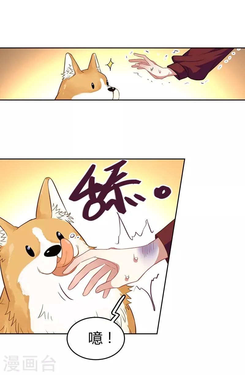 第251话 第6页