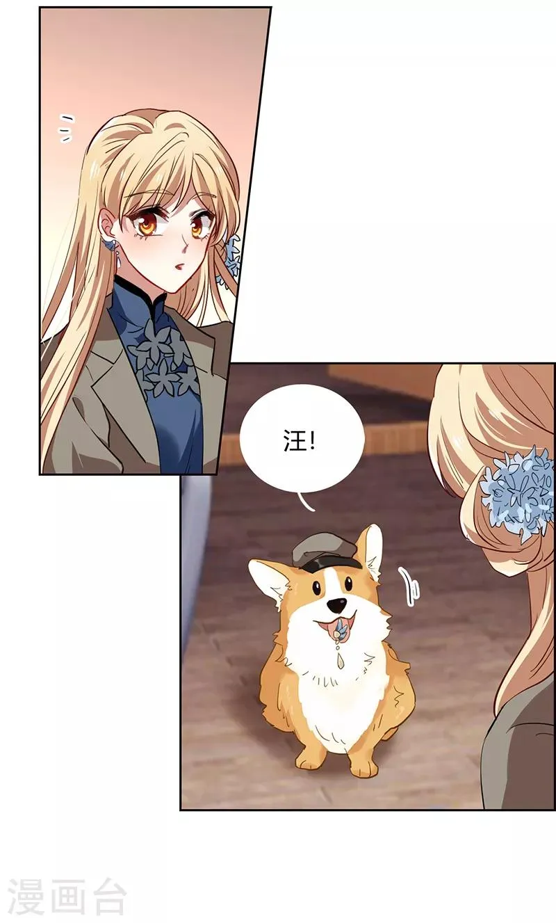 第251话 第19页