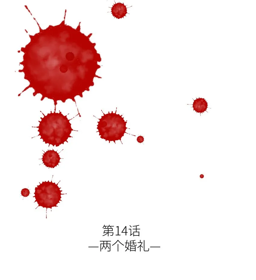第十四话 两个婚礼 第2页
