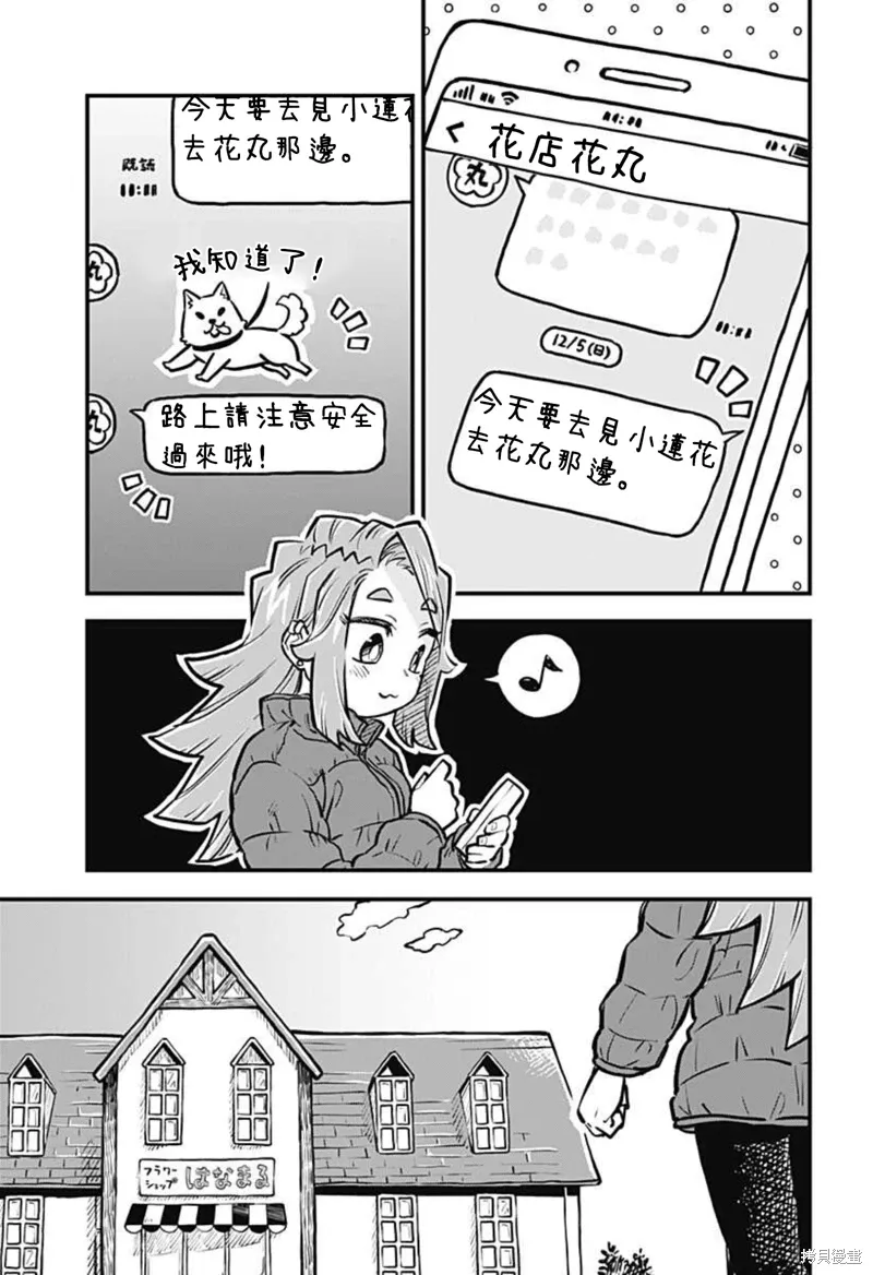 第28号 第5页