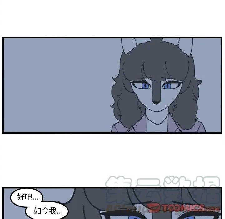 85 第11页