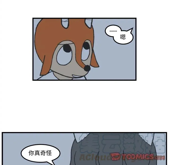 85 第17页