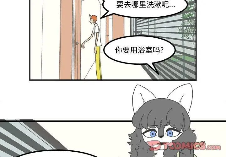 81 第4页