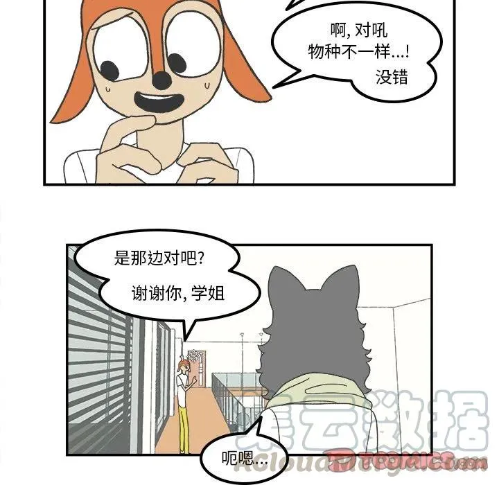 81 第7页
