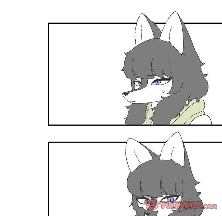 81 第8页