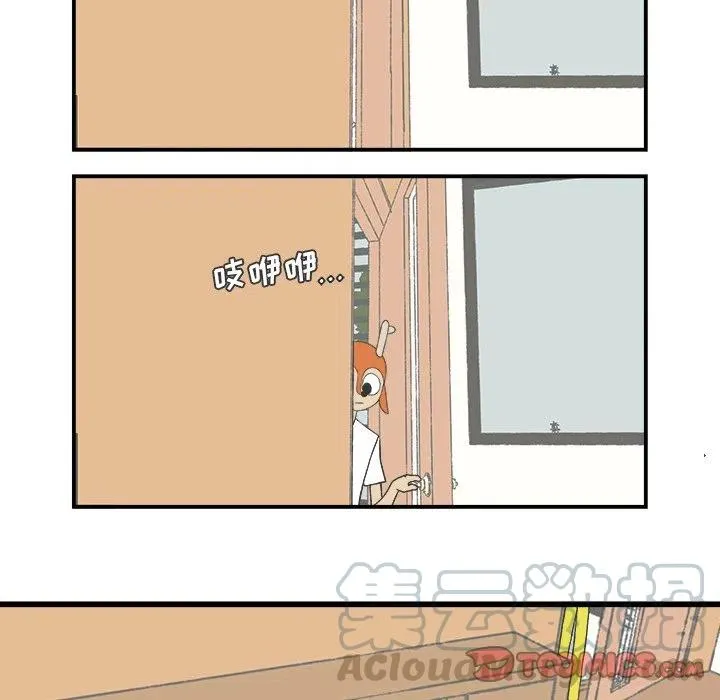 81 第11页