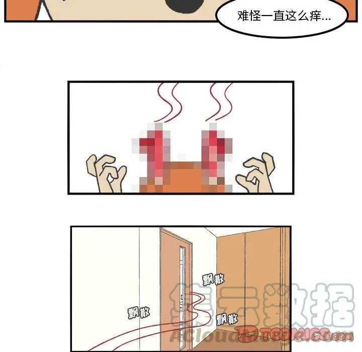 81 第19页