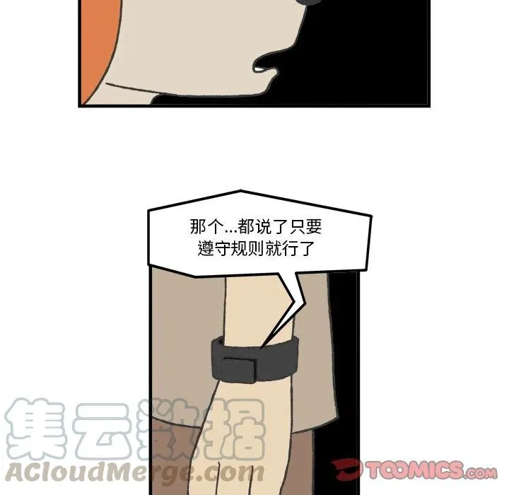 78 第19页