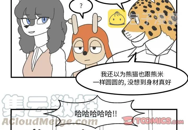 74 第3页