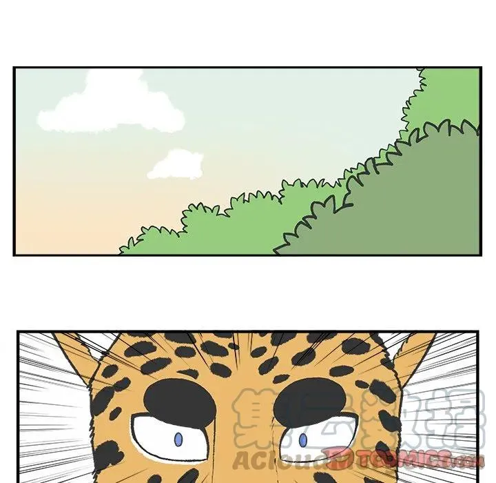 74 第21页