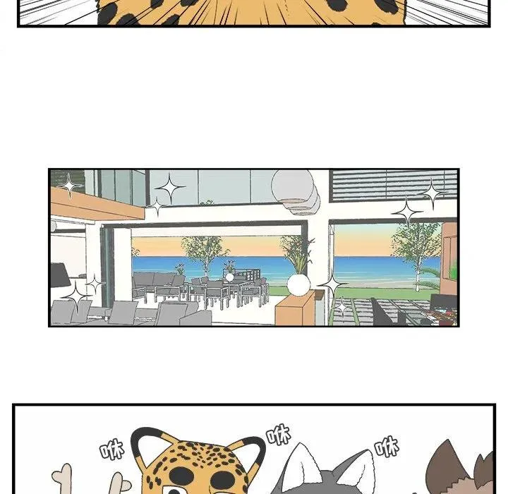 74 第22页