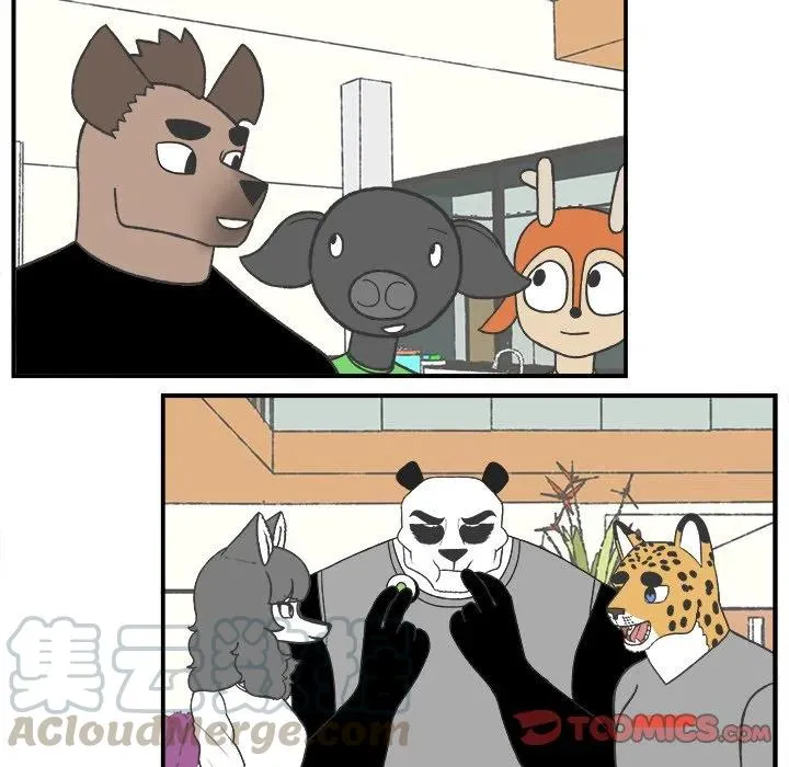 74 第27页