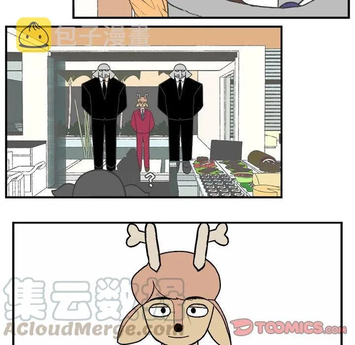 74 第29页