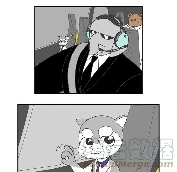 73 第15页