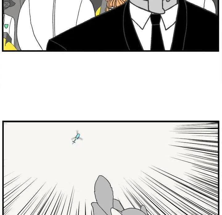73 第20页