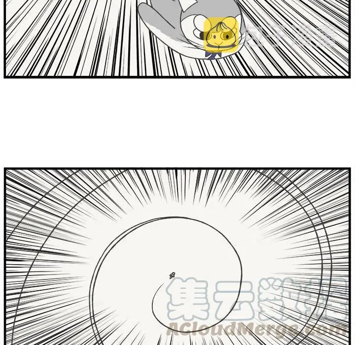 73 第21页