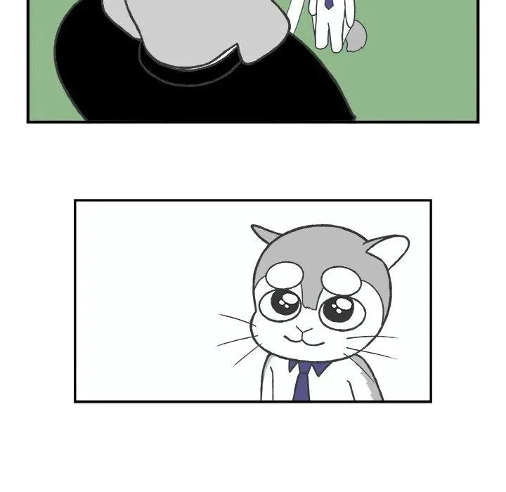 72 第28页