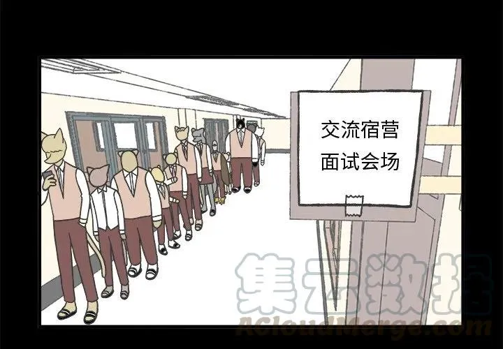 71 第3页