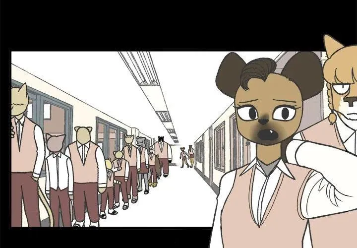 71 第4页