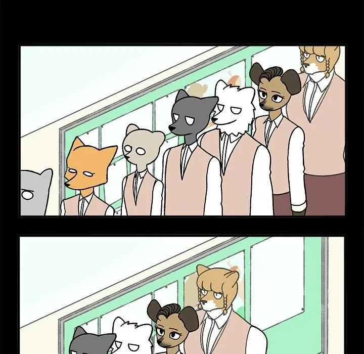 71 第8页