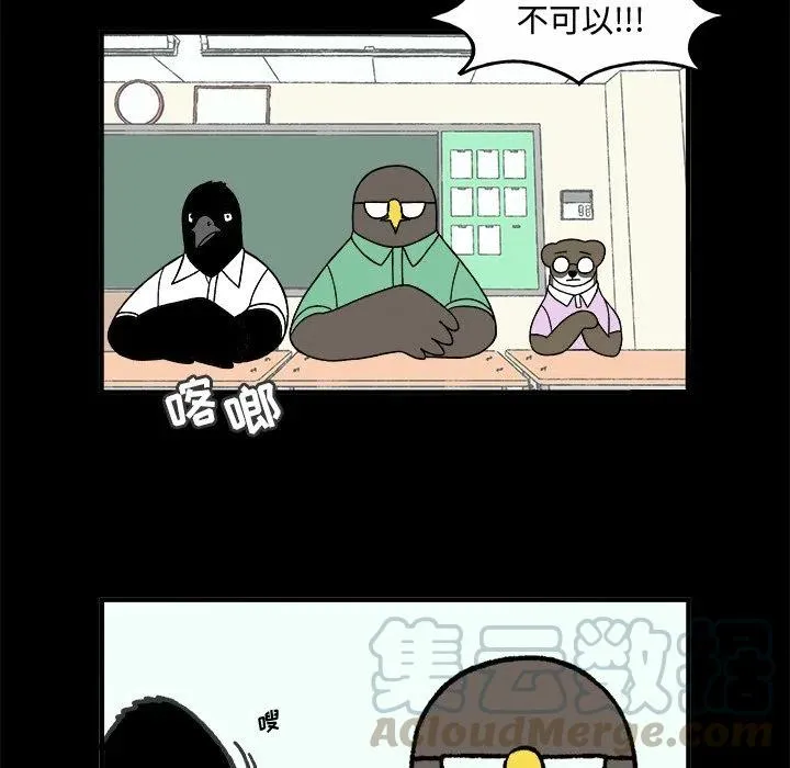 71 第17页