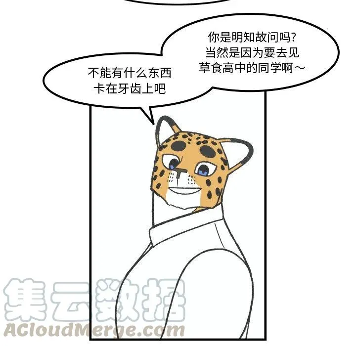 71 第25页