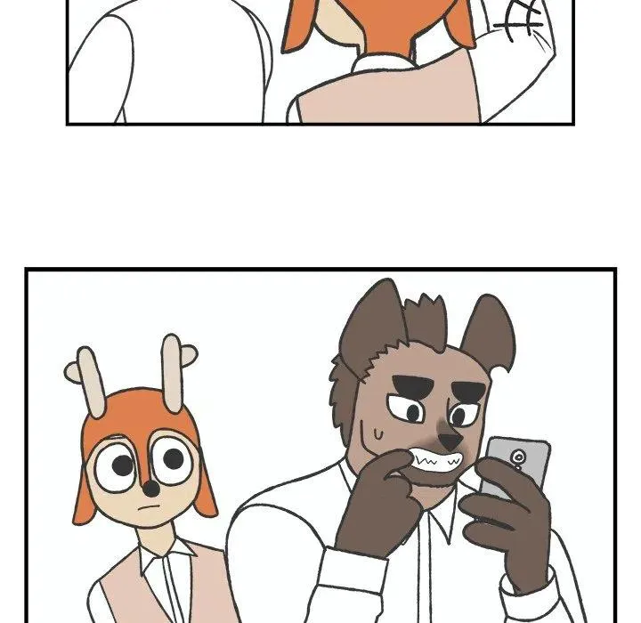 71 第28页