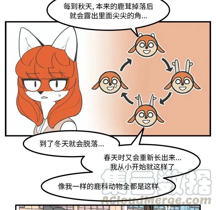 71 第37页