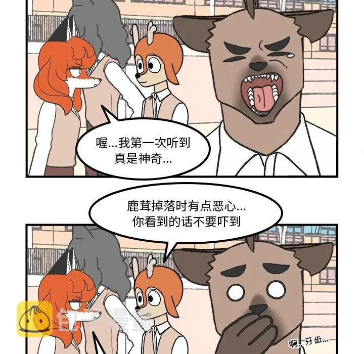 71 第38页