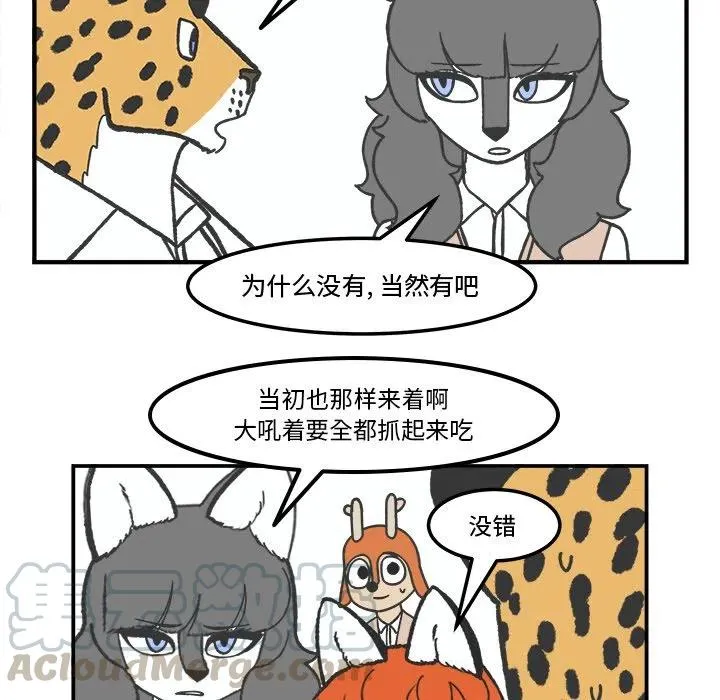 71 第41页