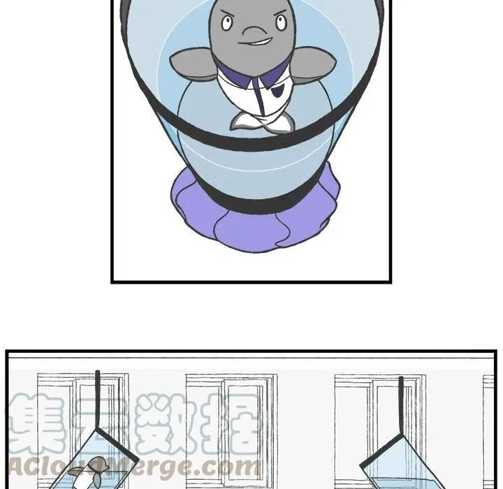 70 第31页