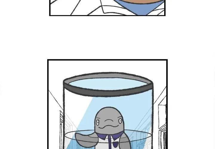 68 第4页