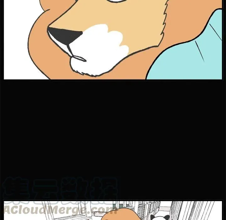 67 第13页