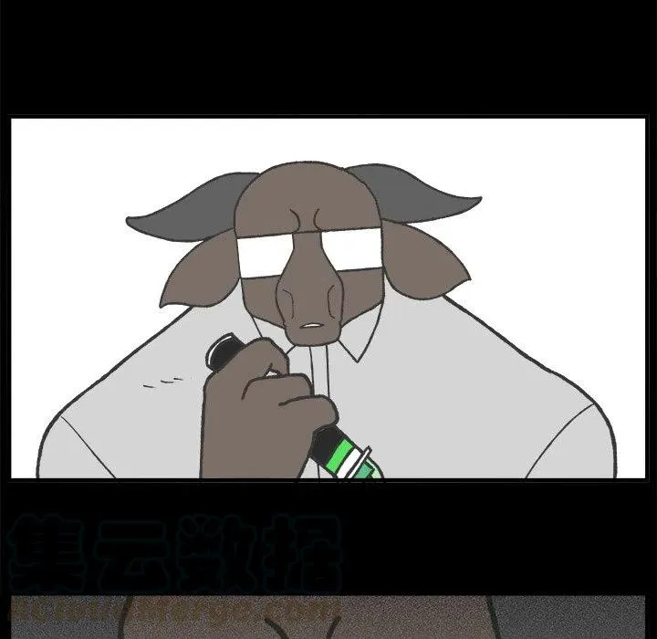67 第17页