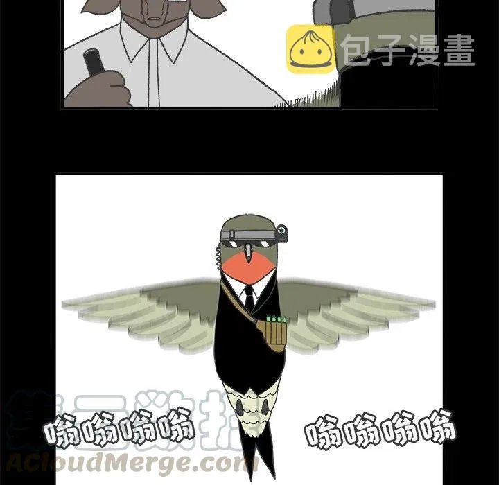 67 第21页