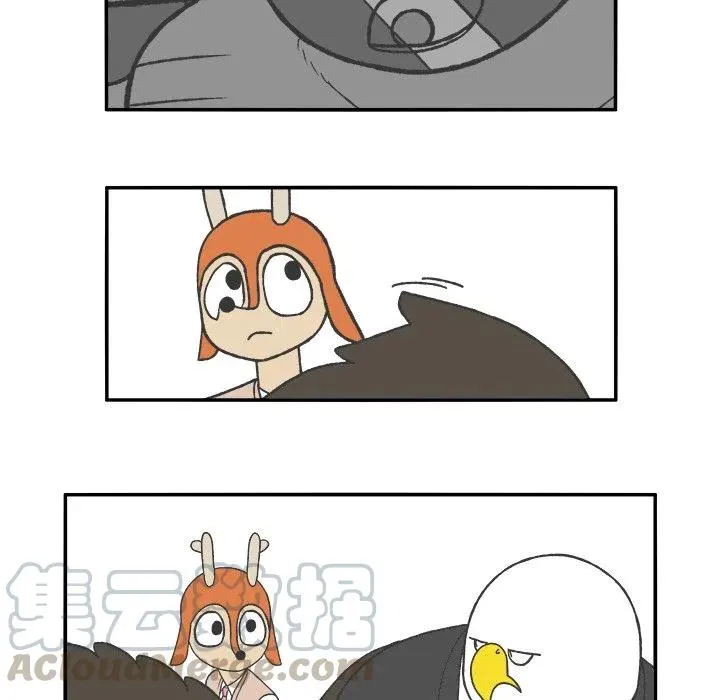 66 第31页