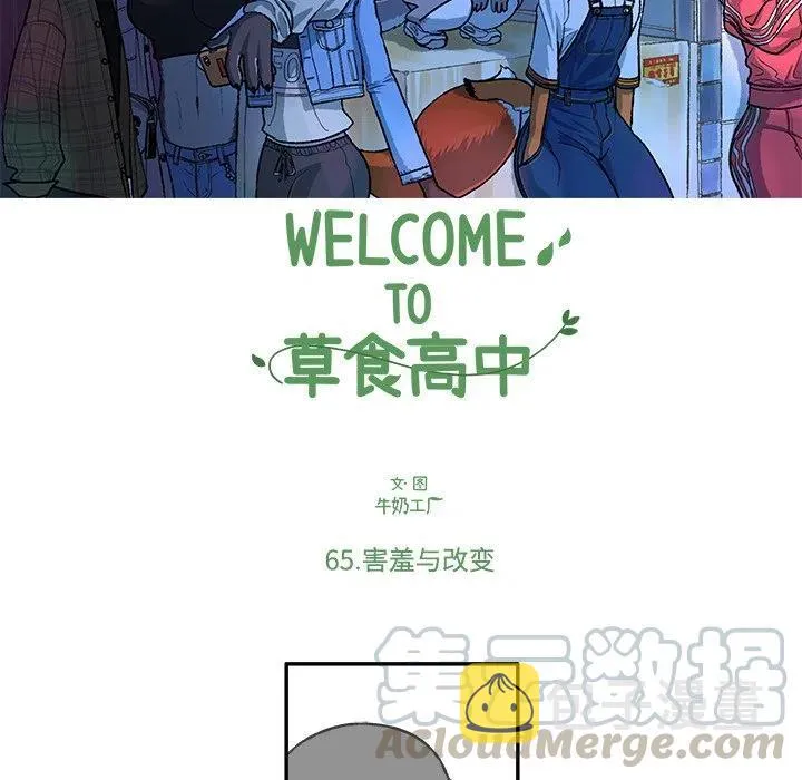 65 第15页