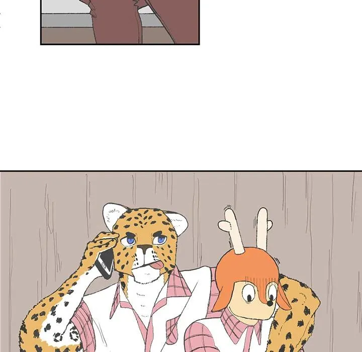 2 第8页