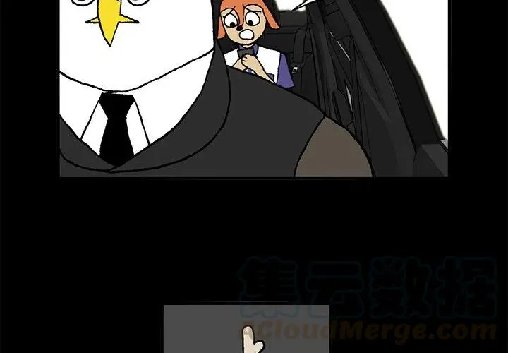 3 第4页