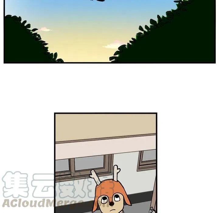3 第19页