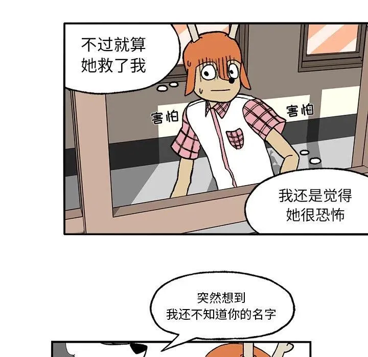3 第29页