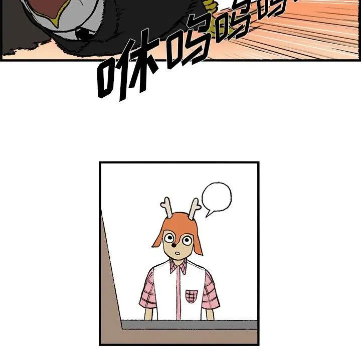 3 第41页