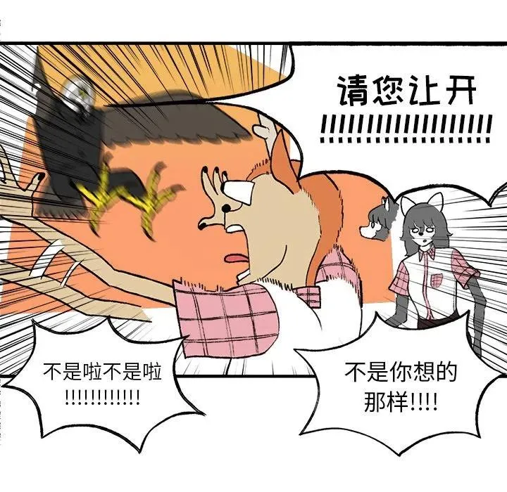 3 第42页