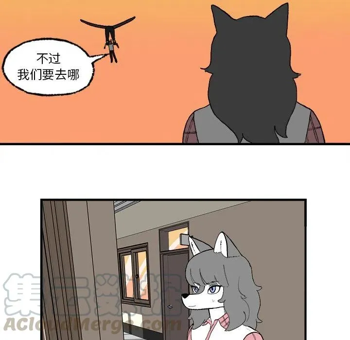 3 第49页