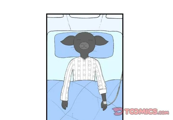 5 第2页