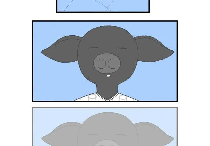 5 第3页