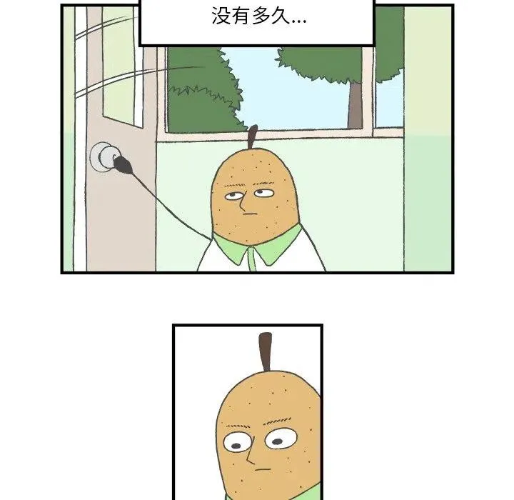 5 第11页