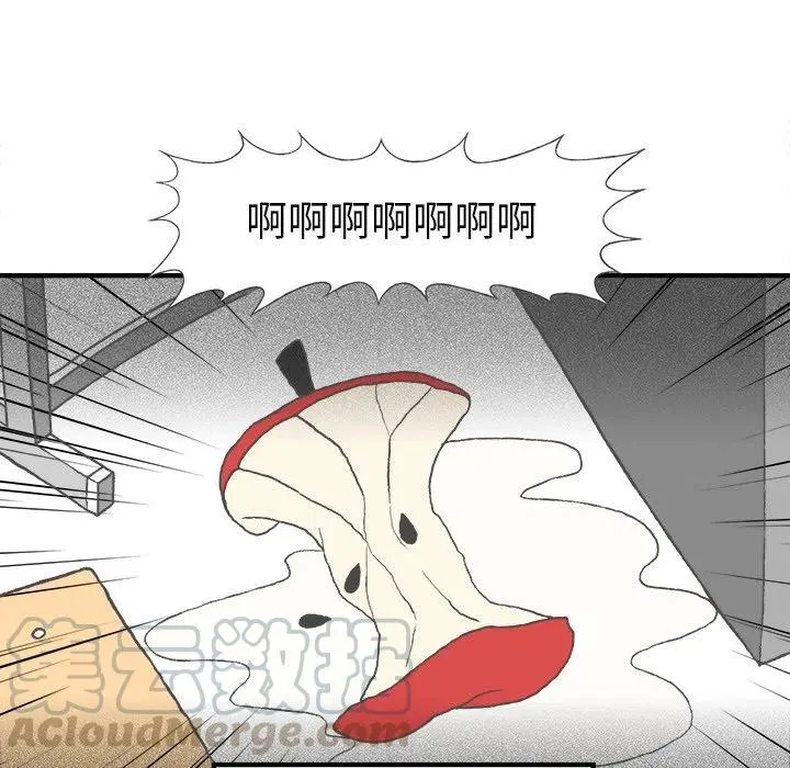 5 第13页