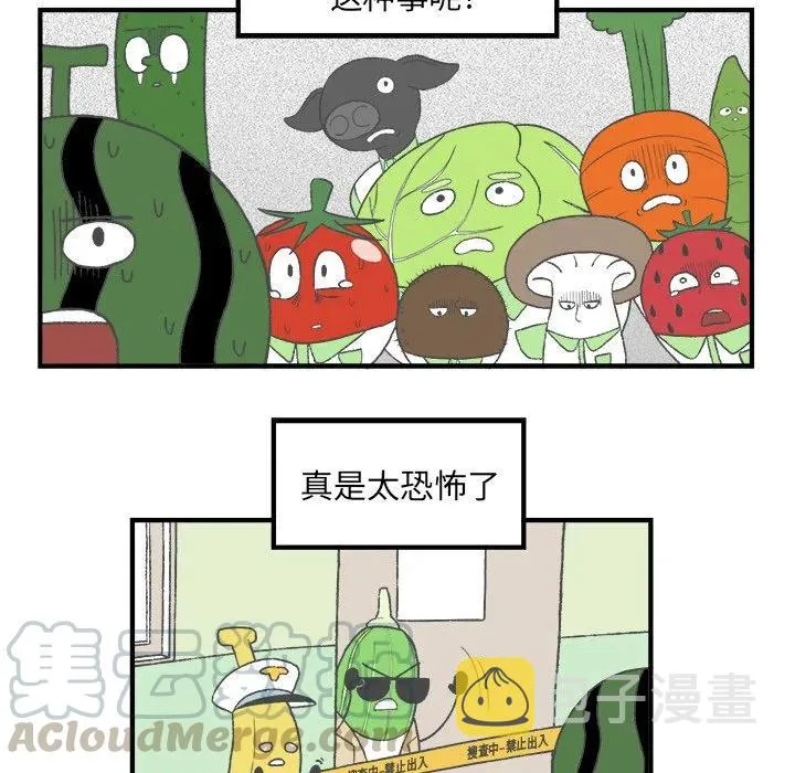 5 第16页