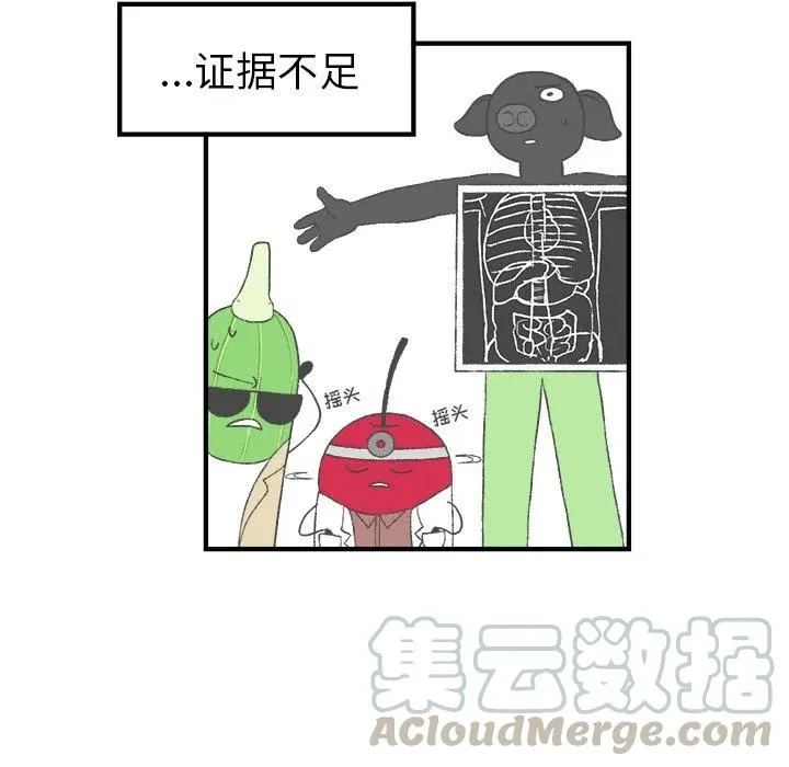 5 第19页